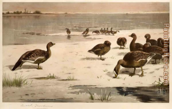 Unapproachable Geese painting - Archibald Thorburn Unapproachable Geese art painting
